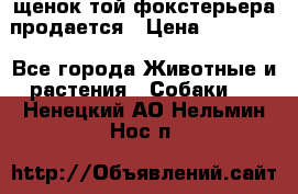 щенок той-фокстерьера продается › Цена ­ 25 000 - Все города Животные и растения » Собаки   . Ненецкий АО,Нельмин Нос п.